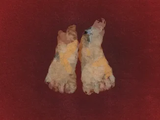 Earl Sweatshirt FEET OF CLAY (Deluxe)