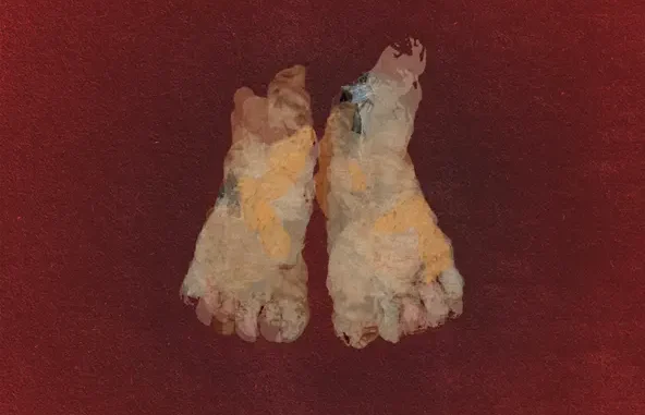 Earl Sweatshirt FEET OF CLAY (Deluxe) Earl Sweatshirt FEET OF CLAY (Deluxe)