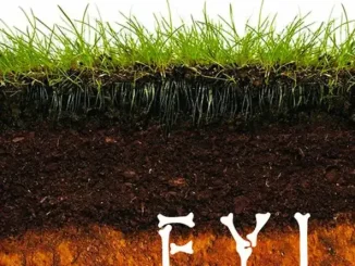 ALBUM: Mach-Hommy – F.Y.I. (Digitally Remastered) F.Y.I. (Digitally Remastered) Mach Hommy