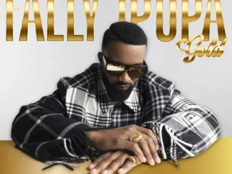 Fally Ipupa Tokooos II Gold