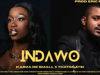 Kabza De Small – Indawo ft Thatohatsi, Mawhoo, Dj Maphorisa, Aymos, Tracy & Young Stunna