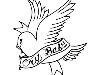 Lil Peep crybaby
