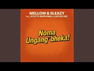 Mellow & Sleazy Noma Ungang'bheka!(Official Audio) feat. Scotts Maphuma & Uncool MC