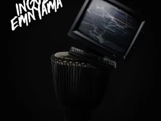 Nandipha808 – INGOZI EMNYAMA