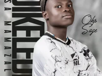 OHP Sage – Up and Down ft. 015 MusiQ Van City MusiQ