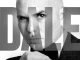 Pitbull Dale
