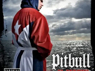 Pitbull El Mariel