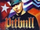 Pitbull M I A M I