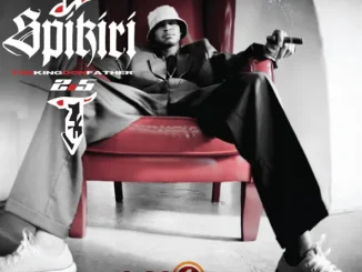 Spikiri The King Don Father 2 5