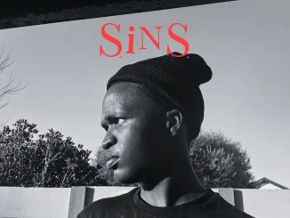 Swizxle – SiNS