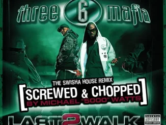 Three 6 Mafia Last 2 Walk Chopped & Screwed