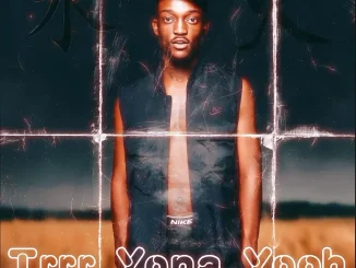 Tribby Wadi Bhozza ft Zoli White Smoke – Trrr Yona Yoo Tribby Wadi Bhozza – Trrr Yona Yoo ft Zoli White Smoke