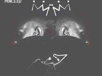 Tsebebe Moroke – For The Matured Promo Mixtape (100% Production Mix 20)