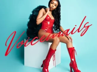 Voicemails Tink