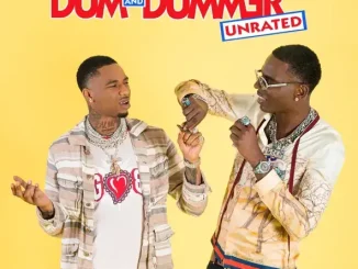 ALBUM: Young Dolph & Key Glock – Dum and Dummer Young Dolph & Key Glock Dum and Dummer