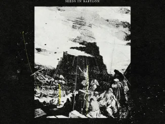ALBUM: Che Noir & Superior – Seeds In Babylon Che Noir & Superior Seeds In Babylon