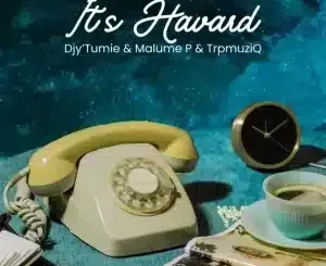 Djy’Tumie – It’s Havard ft TrpmuziQ & Malume P
