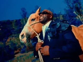 ALBUM: Rexx Life Raj – In Rhythm Rexx Life Raj In Rhythm