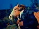 Rexx Life Raj In Rhythm