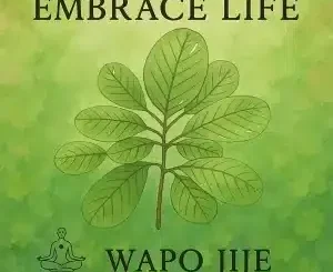 WAPO Jije – Embrace Life