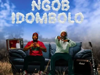 Album: We Dem Boyz - NGOB IDOMBOLO We Dem Boyz – NGOB IDOMBOLO