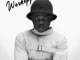 Yung Silly Coon – Weskoppies ft Cool`kraz3